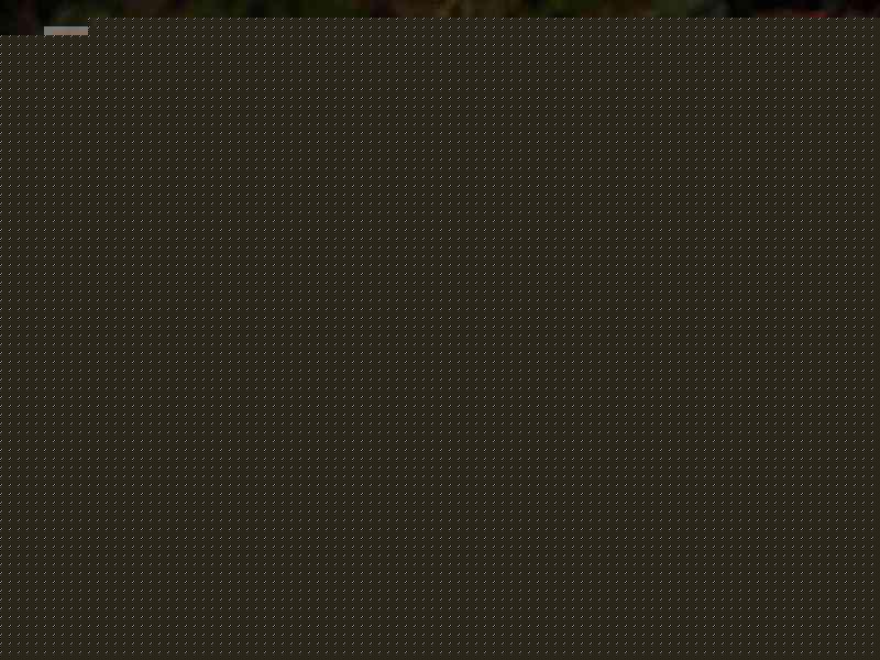 ladder安卓官网 ladder安卓官网